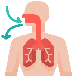 Chronic Disease Management